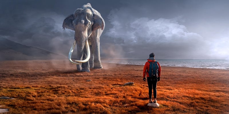 Temporal Anomalies Encounters